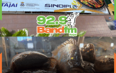 É BLACK FRIDAY NO MERCADO DO PEIXE DE ITAJAÍ: Preços promocionais entre 25 e 29 de novembro