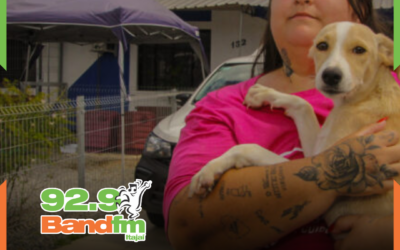 Navegantes promove duas feiras de adoção de cães e gatos neste sábado (20)