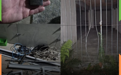 Homem é detido pela PM após furtar residência no bairro São Vicente, em Itajaí