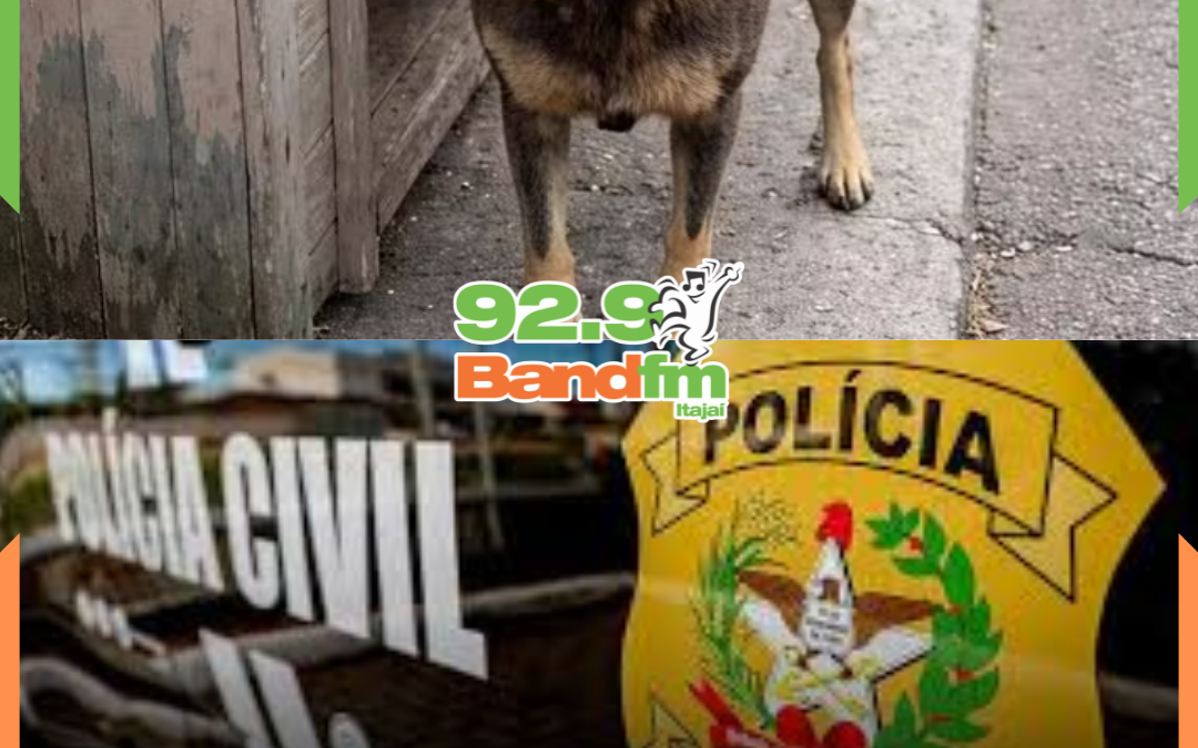 CASO ORELHA: Adolescentes retornam ao Brasil, têm celulares apreendidos e investigação segue em SC