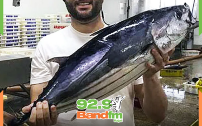 MANDATO DE JORGE SEIF NA BERLINDA: TSE julga caso que pode tirar Senador do cargo