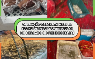 Operação descarta mais de 500 kg de pescado irregular no Mercado do Peixe de Itajaí