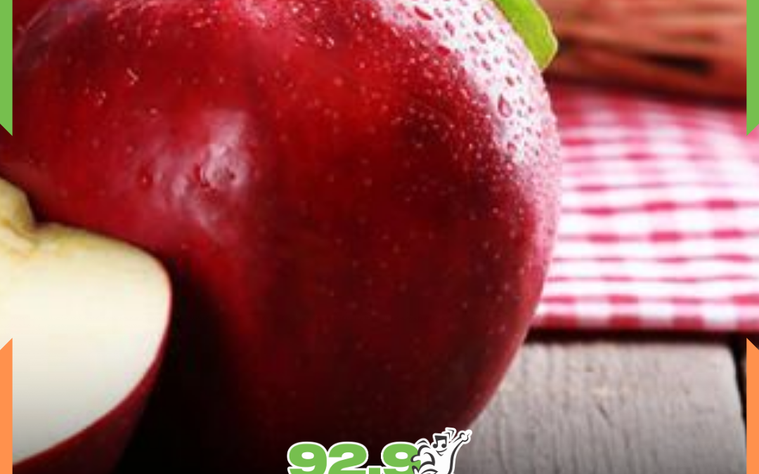 Safra de maça em SC deve crescer 28% neste ano e preços começam a cair