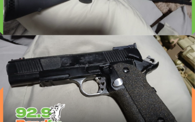 Polícia Civil apreende armas de fogo e munições em Navegantes