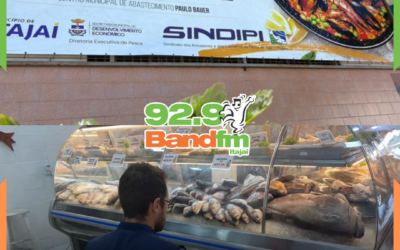 Pesquisa do Procon-Itajaí levanta os preços dos peixes comercializados na Semana Santa