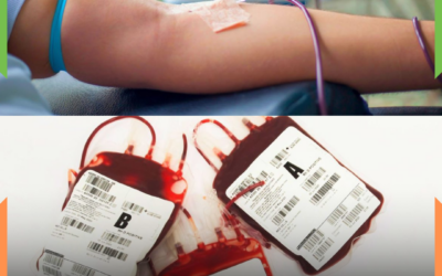 Queda nas doações de sangue deixa Hemosc em alerta vermelho; redução de 4% nos estoques tipo O e A