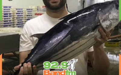 Senador Jorge Seif não assina pedido de CPI contra Ministros do STF e decisão gera onda de críticas nas redes sociais