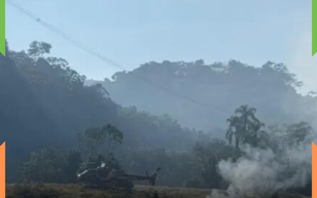 Queda de helicóptero mobiliza força-tarefa e assusta moradores em Pomerode