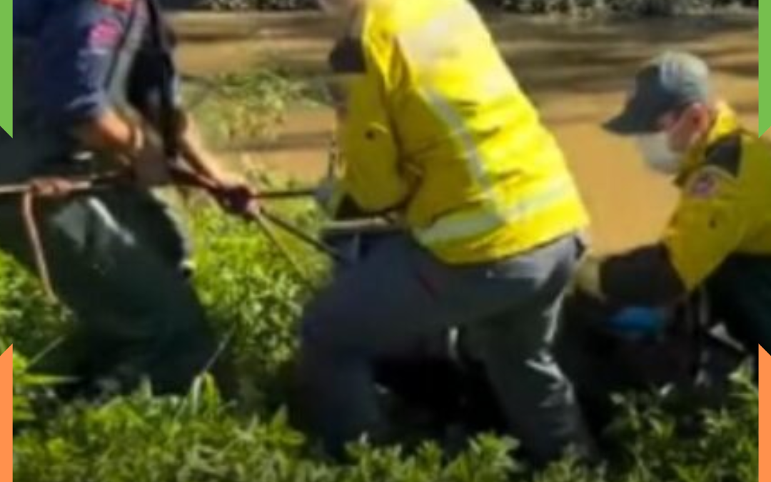 Corpo é encontrado boiando no rio Itajaí-Mirim e mobiliza operação dos bombeiros em Brusque