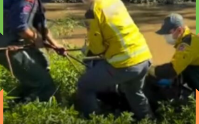 Corpo é encontrado boiando no rio Itajaí-Mirim e mobiliza operação dos bombeiros em Brusque