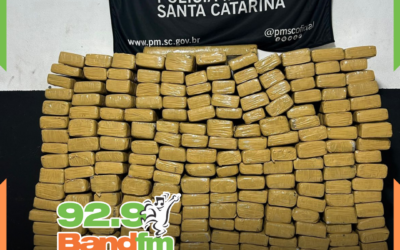 Operação da PM apreende mais de 200 quilos de maconha e prende mulher por tráfico em Itajaí