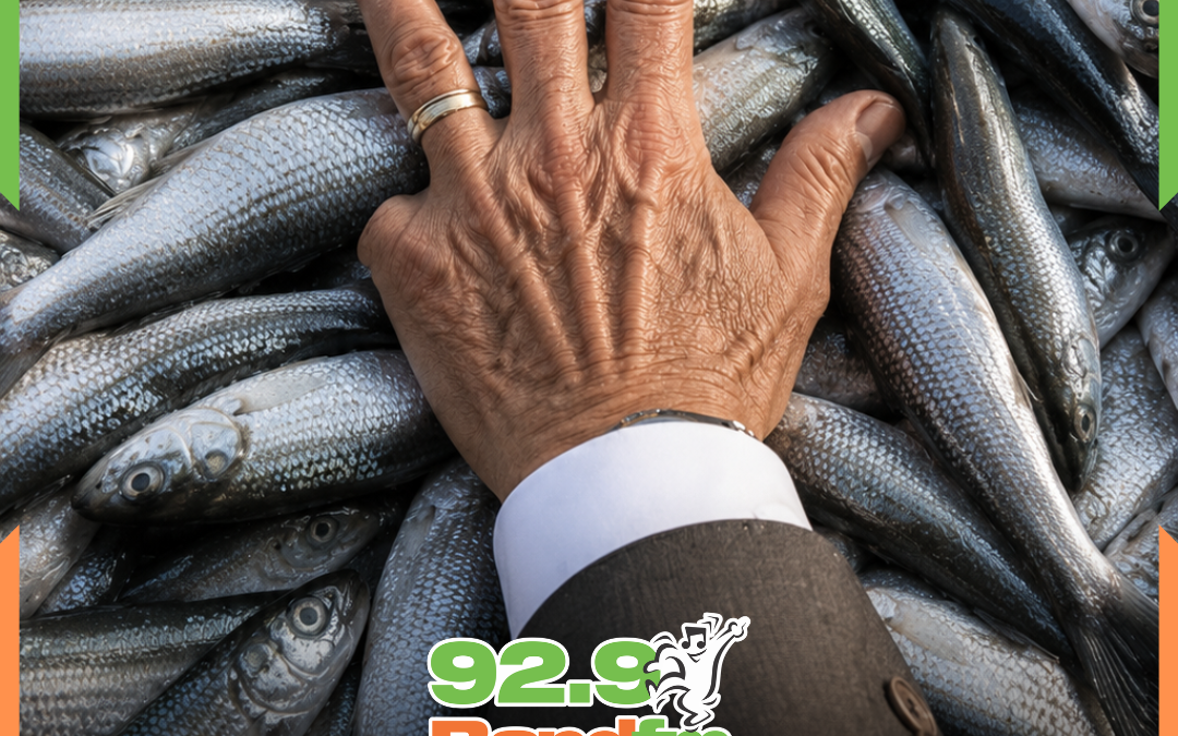Após impasse da safra, governo Lula sinaliza mudanças nas regras da pesca da tainha para 2027 em SC