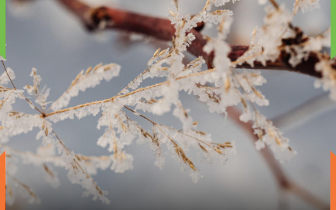 Primeira semana do inverno será marcada por frio intenso em Itajaí