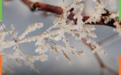 Primeira semana do inverno será marcada por frio intenso em Itajaí