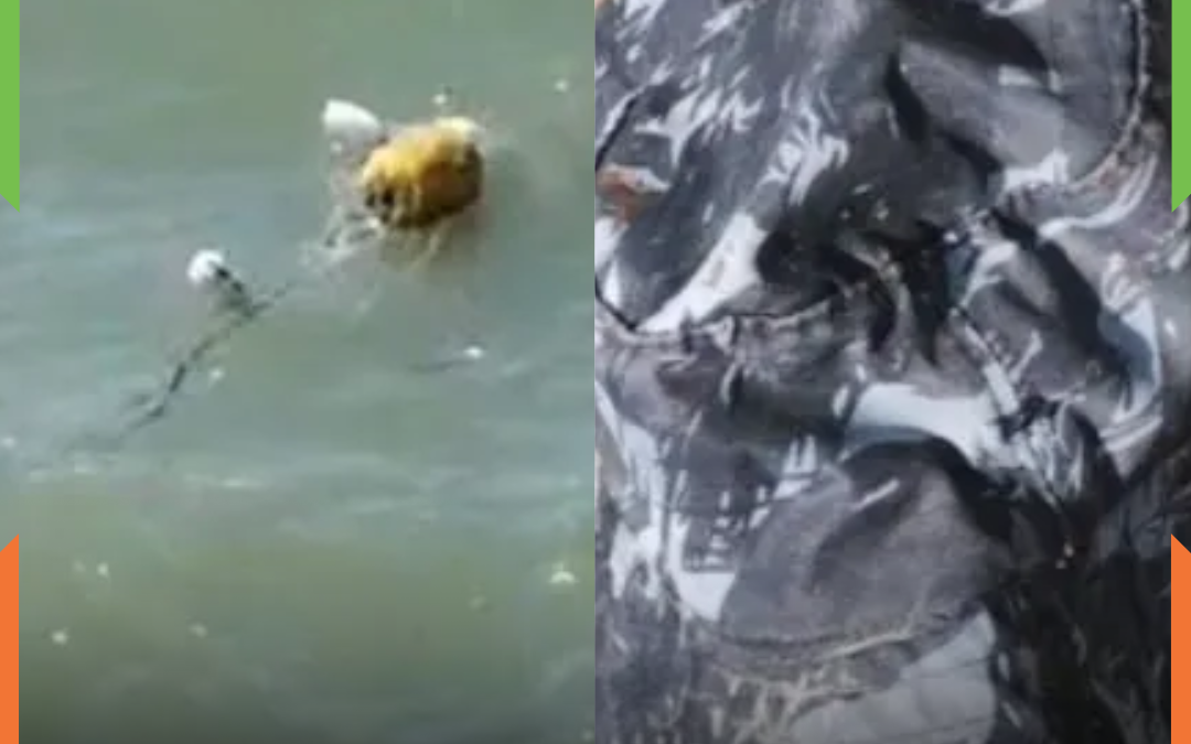 Alerta de possível corpo no mar mobiliza operação dos bombeiros em Penha