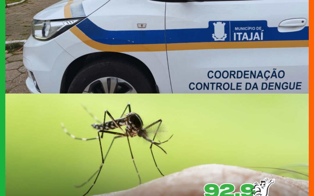 Itajaí avança na implantação do método Wolbachia para o combate à dengue