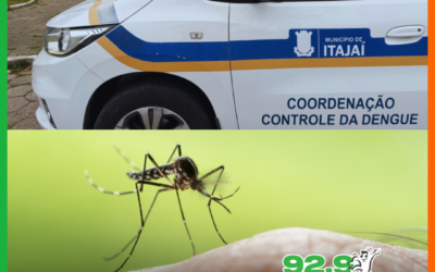 Itajaí avança na implantação do método Wolbachia para o combate à dengue
