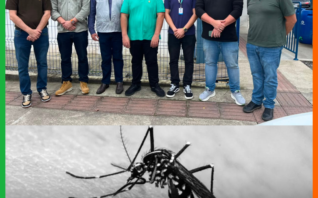 Itajaí estuda produção de “Wolbitos” para reforçar combate à dengue