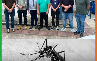 Itajaí estuda produção de “Wolbitos” para reforçar combate à dengue
