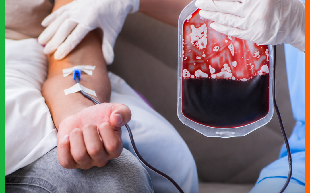 NOVAS REGRAS FACILITAM DOAÇÃO DE SANGUE; ITAJAÍ OFERECE TRANSPORTE GRATUITO AO HEMOSC