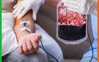 NOVAS REGRAS FACILITAM DOAÇÃO DE SANGUE; ITAJAÍ OFERECE TRANSPORTE GRATUITO AO HEMOSC