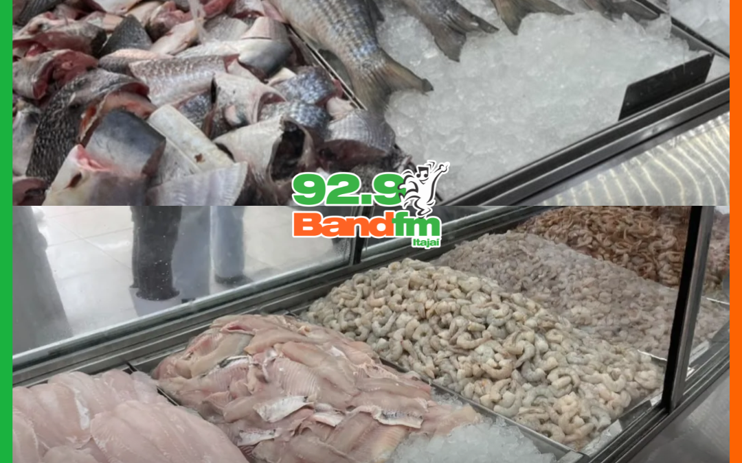 DONO DE PEIXARIA É PRESO APÓS FISCALIZAÇÃO DESCARTAR 620KG DE PESCADOS IMPRÓPRIOS EM BC