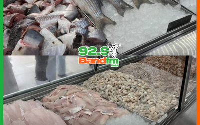 DONO DE PEIXARIA É PRESO APÓS FISCALIZAÇÃO DESCARTAR 620KG DE PESCADOS IMPRÓPRIOS EM BC