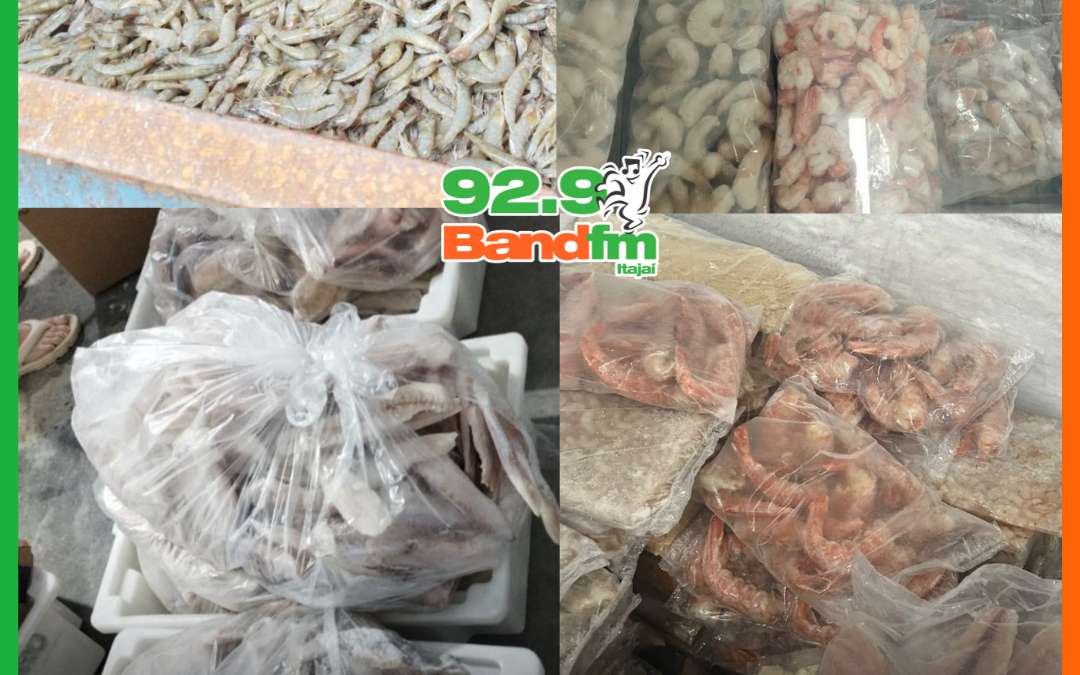 CERCA DE 13 TONELADAS DE PESCADOS IMPRÓPRIOS PARA CONSUMO SÃO DESCARTADAS NO LITORAL DE SC