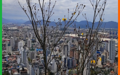 SEMANA COMEÇA COM AVISO DE CHUVA INTENSA E PERSISTENTE EM ITAJAÍ
